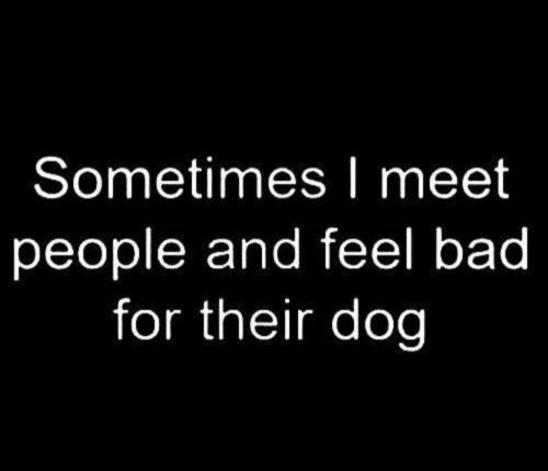 c3a2aafb-924d-441b-87dd-76619391ae73