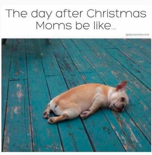 Screenshot_20251226_143048_Instagram