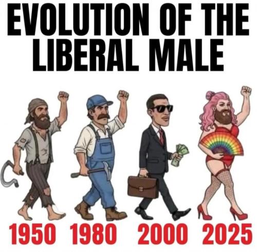 2fe2e7e3c6c085fc239d657beff131b0_1024