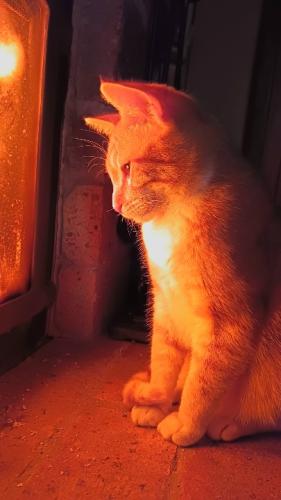 Resized_20241127_075240