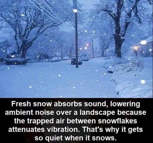 503835731_24704992309089893_2743703619741824654_n