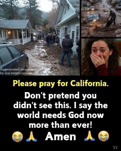 FB_IMG_1767054380413