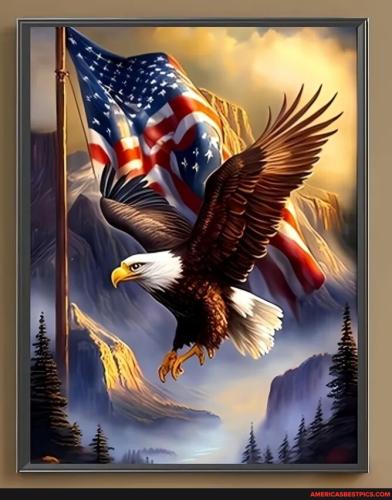 a856e5f654cb9a663eaa44c1a0d2e22eb2b5c149cadc2031b9a3b106d1b35736_1