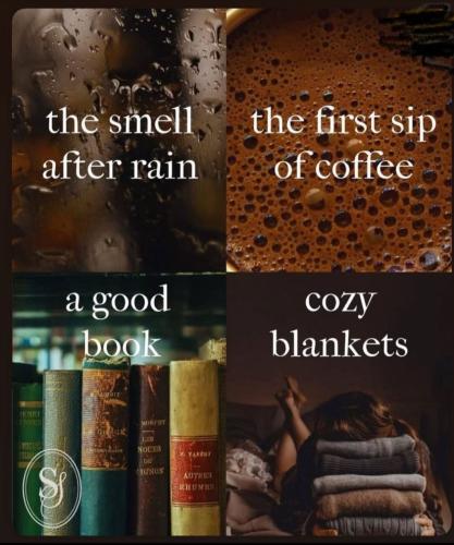 IMG_20251223_054629_062