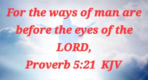 fe11f156-f738-470d-bddc-d6f3b25753d7