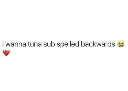 91FA3B73-E34A-44F6-8738-54FEDF8CB8AF