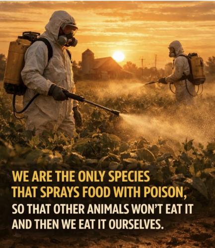 Screenshot_20251227_233447_Facebook