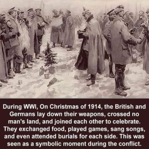 e88bf8799e807f305bcba104869b1aff