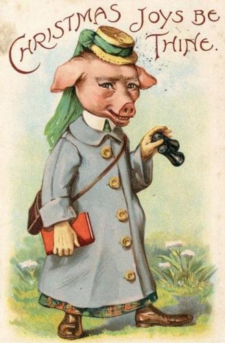 il_794xN.4263443347_oxik