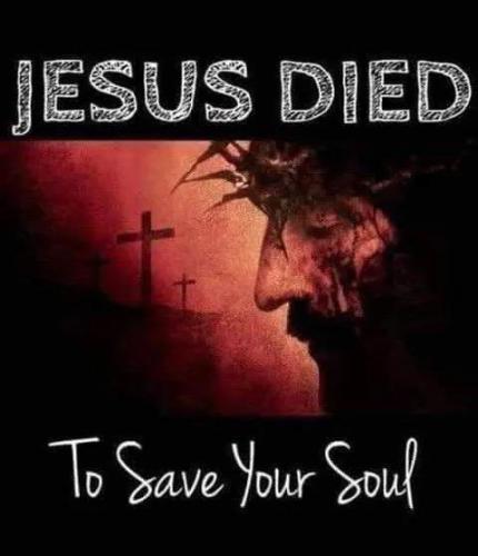 IMG_20251228_112909_347