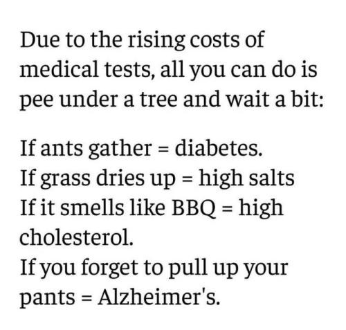 IMG_20251225_164757_295