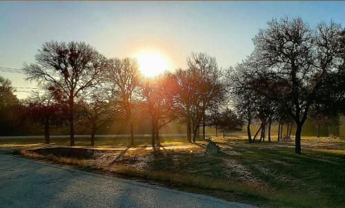 Filtered sun rays, early morning