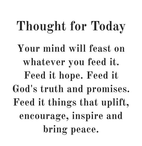 594157071_872890171911997_7990073928083041849_n