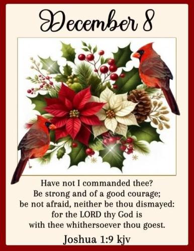 597385165_1263509029143764_8613248320971444443_n