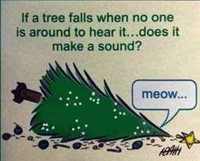 bc4f3148f4c44b05a655de54f05d2c59