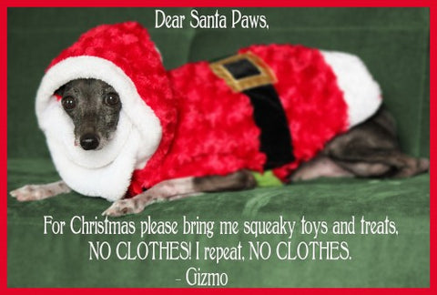 Santa-Paws-Christmas-card-holiday-dog-pet-funny-hilarious-saying-sayings-500x338_large