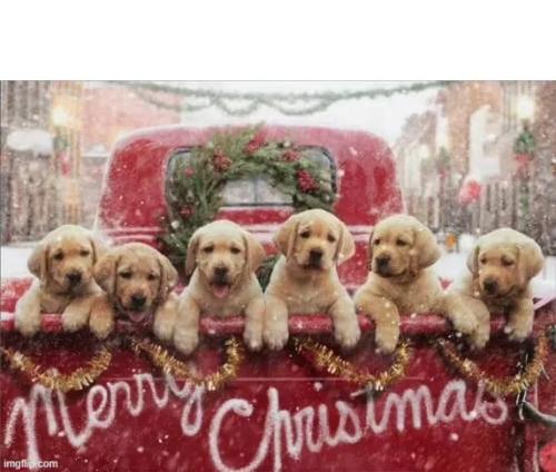 0fb78e7ee9b44bf72aa1823c5348e24d