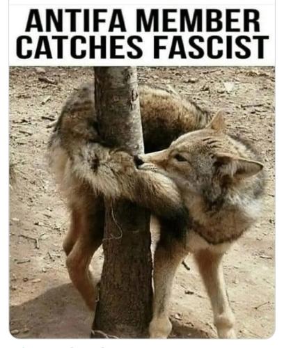 Screenshot_20251212-094947_Facebook