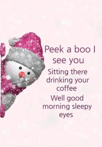 480917398_951952323789750_7696499586772625503_n