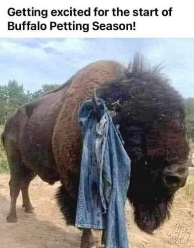 main-qimg-94eb67bc8155f299422680435bcbaafe