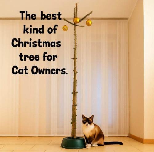 FB_IMG_1764560121760