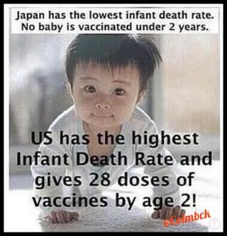 85e5c6a85f1cc6bd6b7047bc14dfa8b7