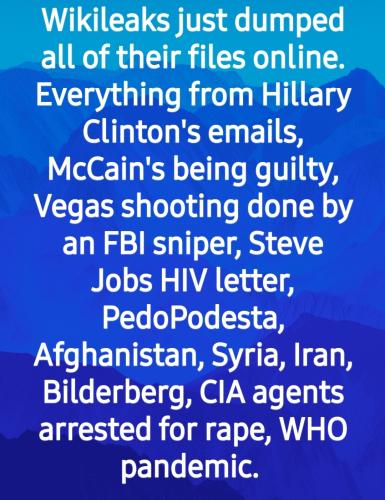 If you explore WikiLeaks you may not be able to unsee some grotesque videos and photos