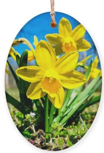 Screenshot_20251220_080734_Brave