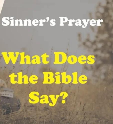 93f8cc31-a578-466e-8d6e-e5b409527f34