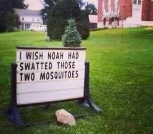 Screenshot_2025-07-13-14-04-28-29_a23b203fd3aafc6dcb84e438dda678b6