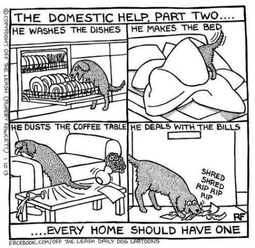 43c1656098a951bff8e59a4f95c5b185