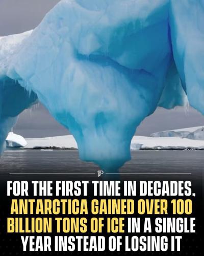 E4C711F9-3B08-4916-8689-410A5C06F0D0