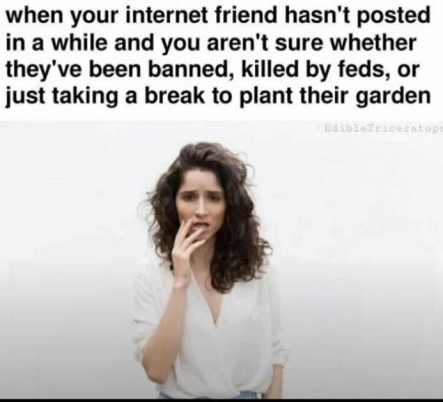 image_F009C5FF-1091-47B9-AABF-E2176C43BC25