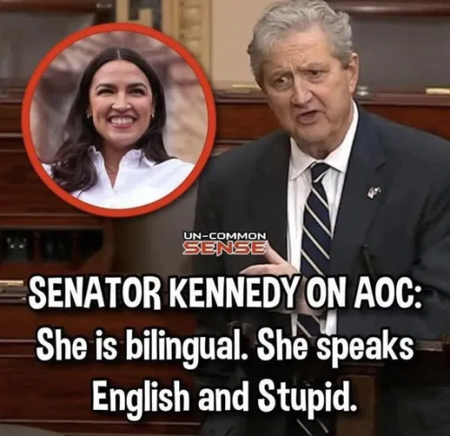 image_2025-12-05_064142719