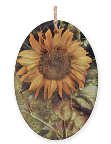 Screenshot_20251204_135923_Brave