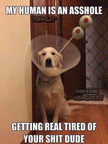 IMG_20251128_145221_775