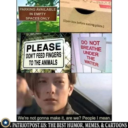 01KCKVEG0T22AP7PHSCVJ03R4N