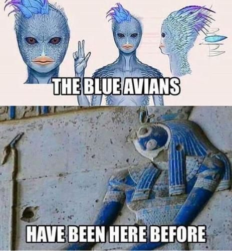 ,       ,        423193798_7468111