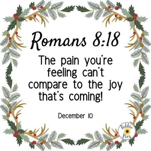 IMG_20251210_110208_242