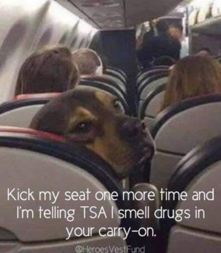 Screenshot_20251210_181524_Gallery