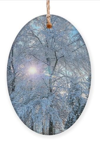 Screenshot_20251217_155103_Brave