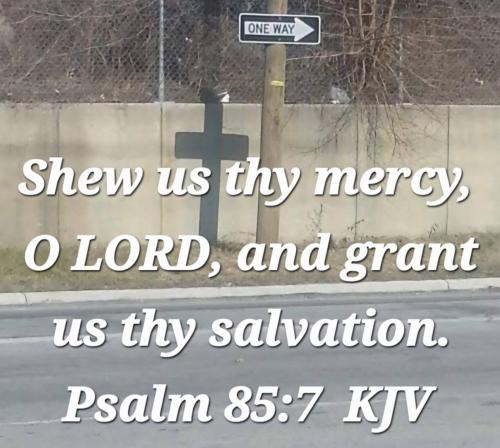 ef000f22-54a8-4c3c-bbde-78a107dd134a