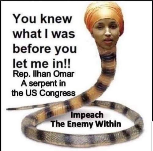 Muz_Illhan_Omar_traitor_scumbag_bitch_moslam_snake_you_knew