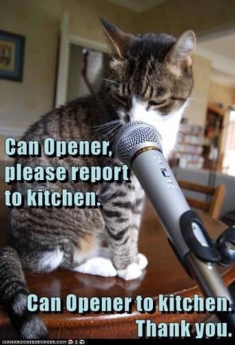 can-opener-please-report-kitchen-can-opener-kitchen-icanhascheezburgercom-thank