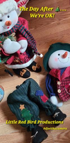 Screenshot_20251204_133718_Gallery