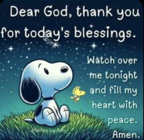 479f83698a994d3e486994e7d39b7aef