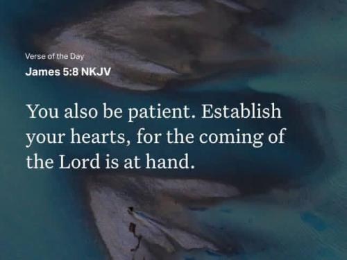 IMG_20251214_131132_066