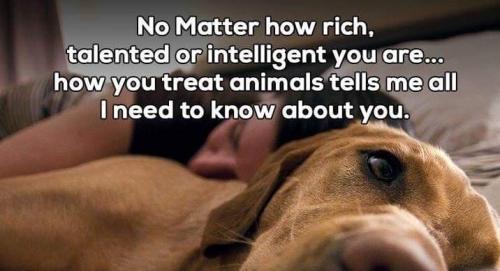 acb597db4a4355e809480f5c795ae0f0