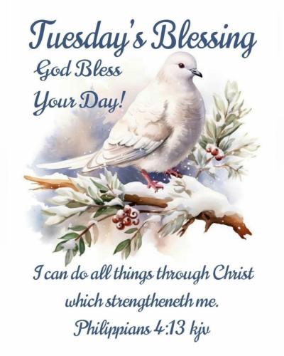 595123221_1187267570183099_5210755770109569445_n