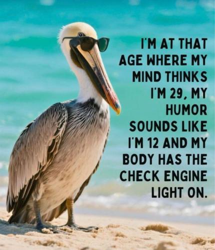 image_AB54F59C-1146-4822-BC91-3418E0E6A87D